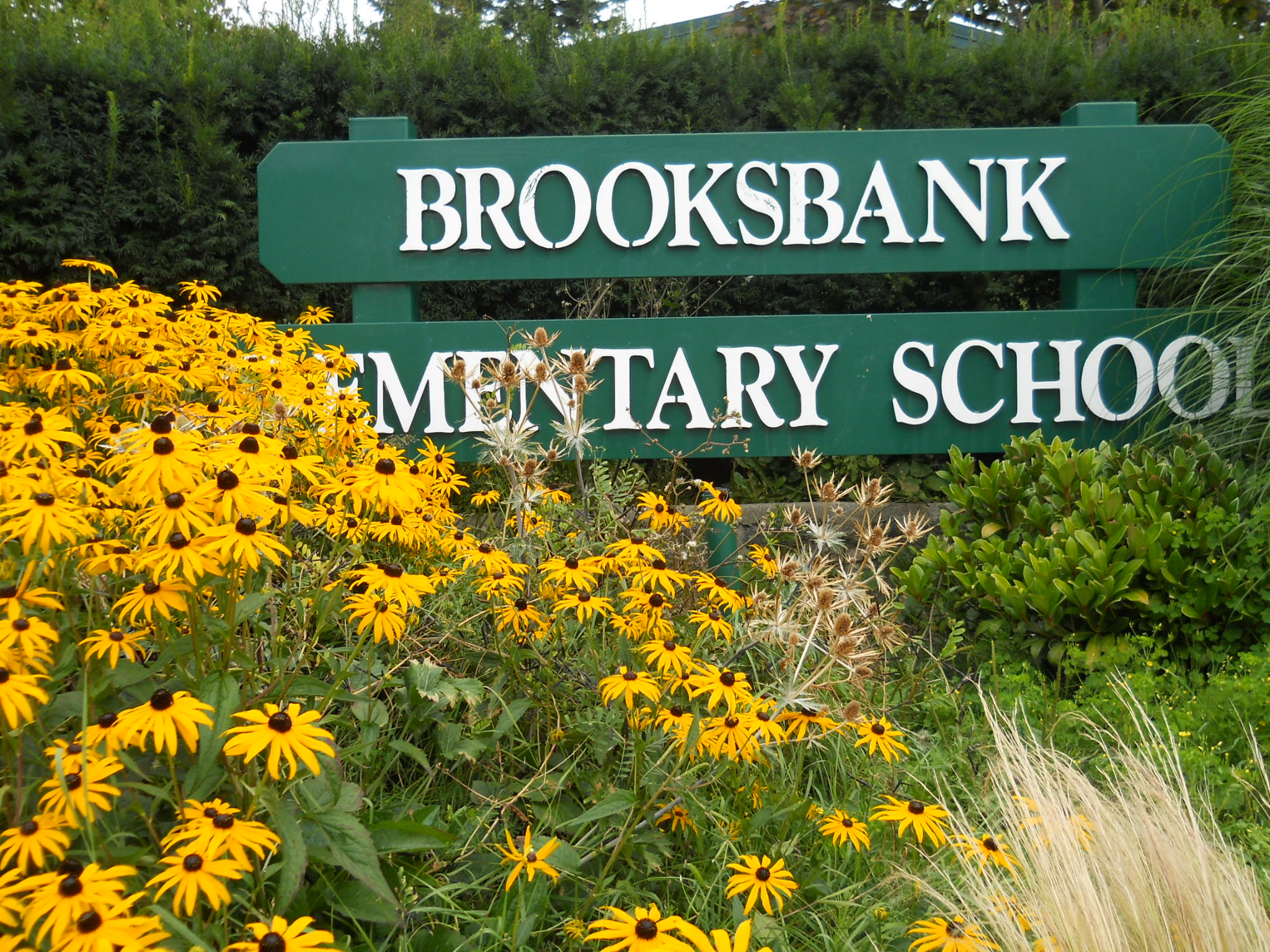 Brooksbank sign with flowers