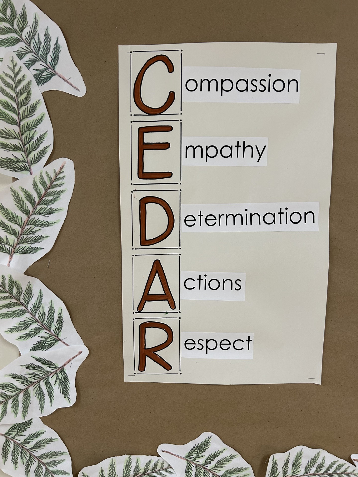 What Does CEDAR Mean.jpg